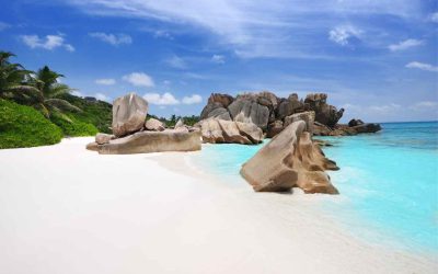 Offshore Companies in Seychelles 101
