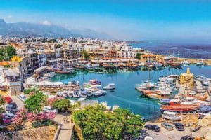What are the important roles that a Cyprus company should have