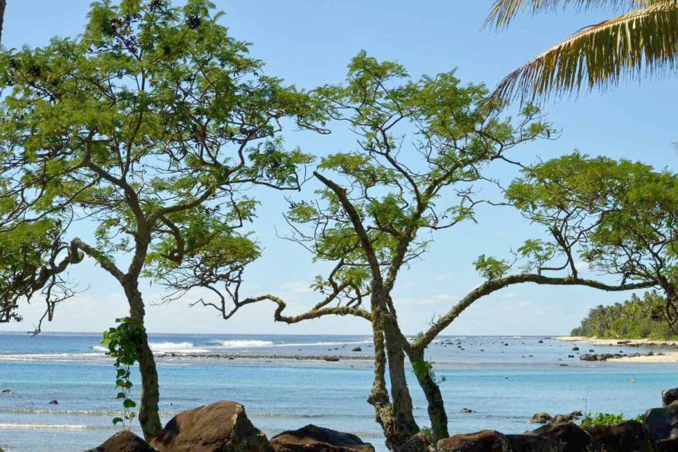 Cook Islands Company Formation 2022 Set Up From 790